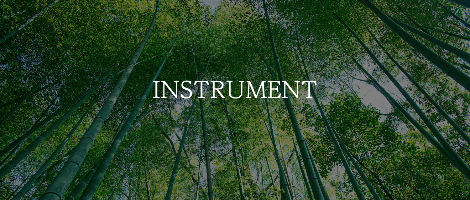 INSTRUMENT